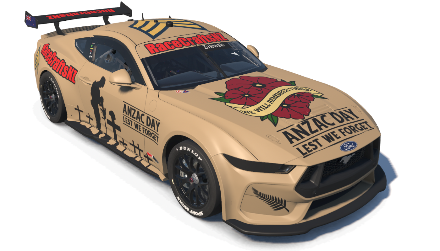 Custom Paint Options