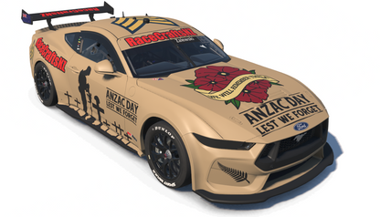 Custom Paint Options