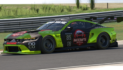 Custom Paint Options