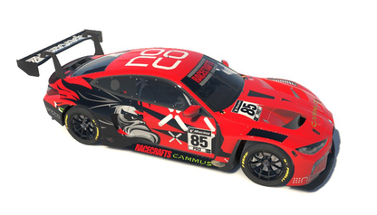 Custom Paint Options