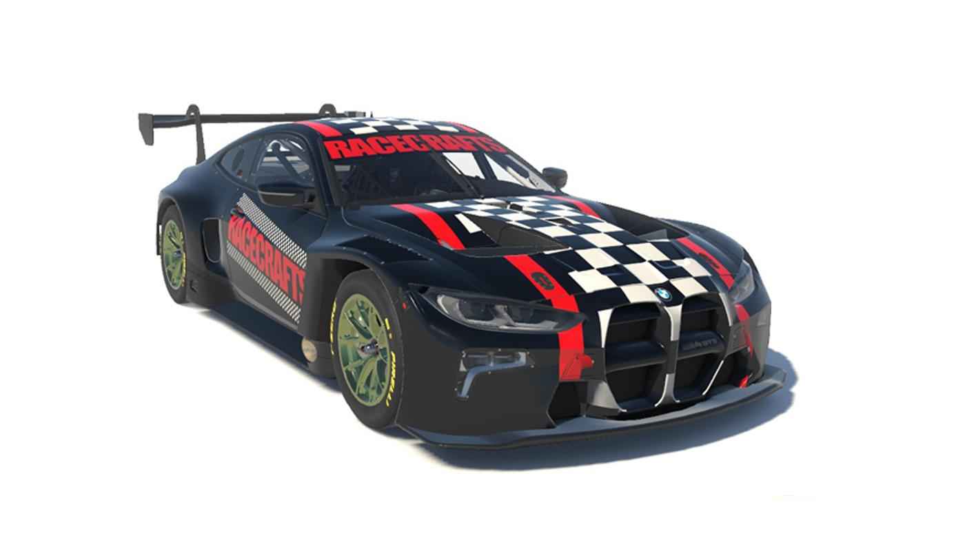 Custom Paint Options