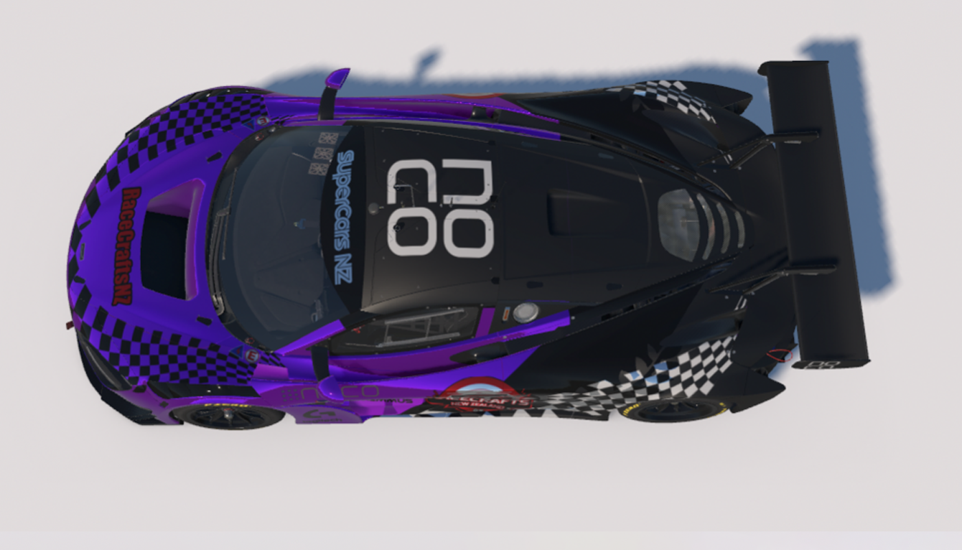 Custom Paint Options